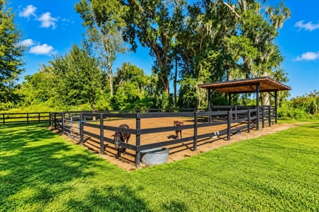 Affordable Small Ranch in Horse Country, Ocala Florida - image 32