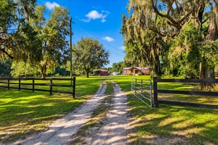 Affordable Small Ranch in Horse Country, Ocala Florida - image 4