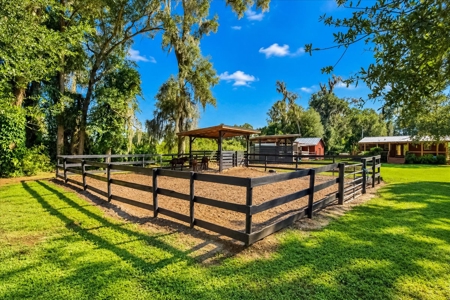 Affordable Small Ranch in Horse Country, Ocala Florida - image 31