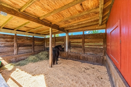 Affordable Small Ranch in Horse Country, Ocala Florida - image 37