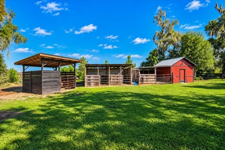 Affordable Small Ranch in Horse Country, Ocala Florida - image 33