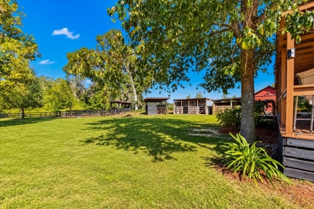 Affordable Small Ranch in Horse Country, Ocala Florida - image 29