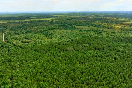 84± acres of heavily timbered recreational and hunting land in Ea - image 4