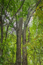 Listing 19