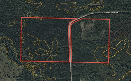 84± acres of heavily timbered recreational and hunting land in Ea - image 15