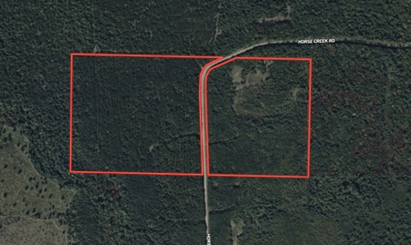 84± acres of heavily timbered recreational and hunting land in Ea - image 2