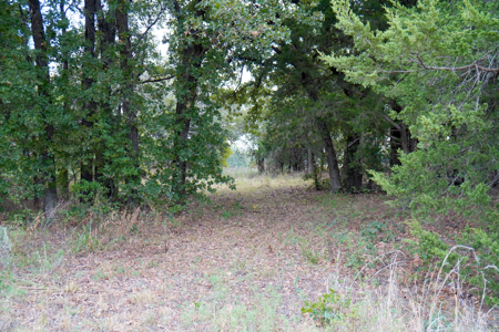Prime Oklahoma Land With Highway Frontage & Shop For Sale - image 38