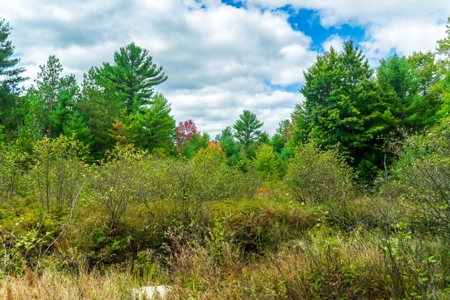 160+/- acres of Western Wisconsin hunting property Eau Claire Cty - image 28