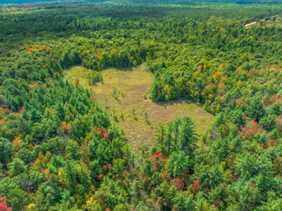 160+/- acres of Western Wisconsin hunting property Eau Claire Cty - image 2