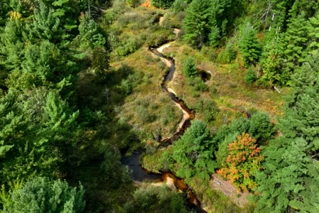 160+/- acres of Western Wisconsin hunting property Eau Claire Cty - image 9