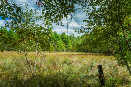 160+/- acres of Western Wisconsin hunting property Eau Claire Cty - image 18