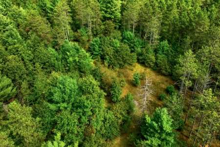 160+/- acres of Western Wisconsin hunting property Eau Claire Cty - image 11
