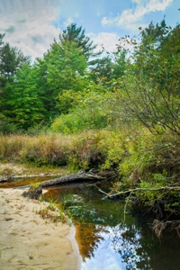 160+/- acres of Western Wisconsin hunting property Eau Claire Cty - image 25