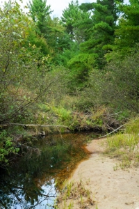 160+/- acres of Western Wisconsin hunting property Eau Claire Cty - image 24