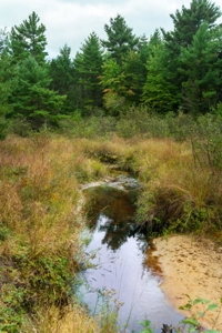 160+/- acres of Western Wisconsin hunting property Eau Claire Cty - image 26