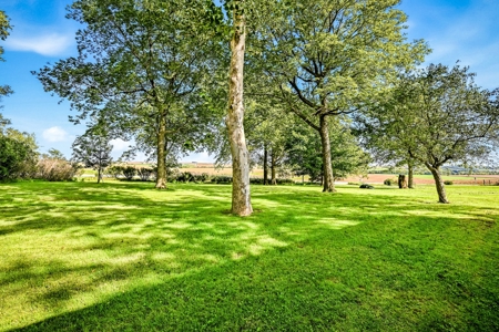 Private Acreage With Ranch-Style Home And Great Country View - image 46