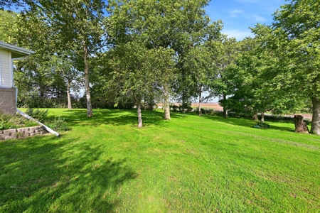 Private Acreage With Ranch-Style Home And Great Country View - image 45