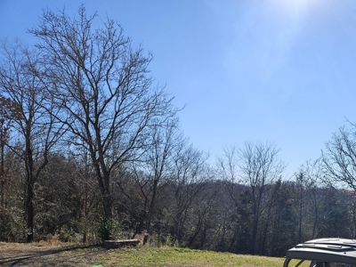 Investment Opportunity with2 Homes in Ozark County MO/Gainesville - image 8