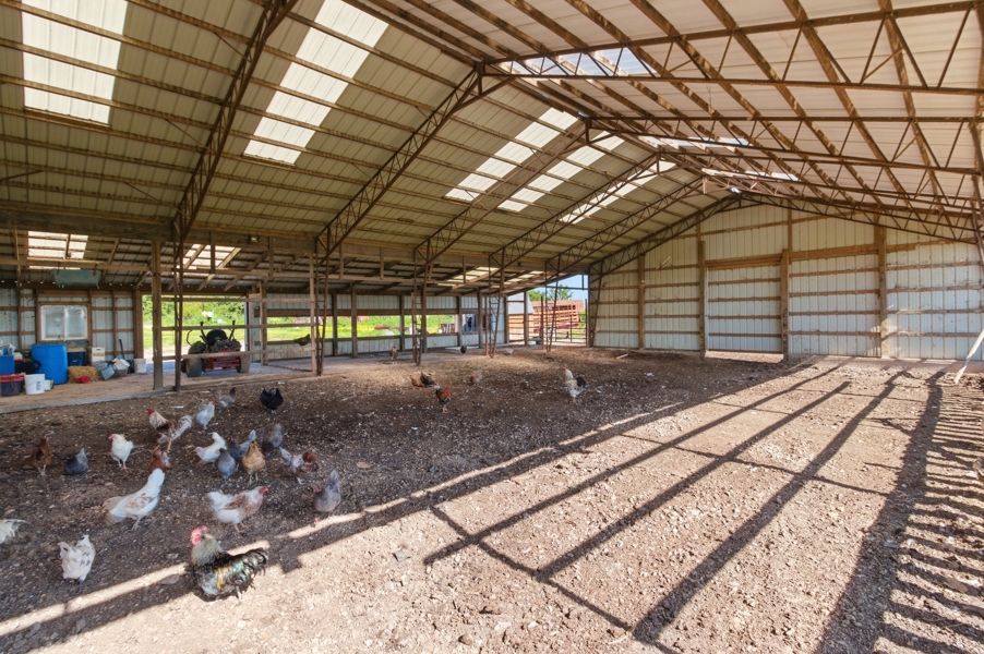 No Caption