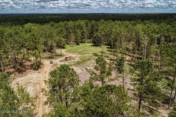 900 Acres for Sale - Hunter's Paradise South Mississippi