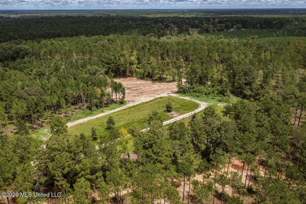 900 Acres for Sale - Hunter's Paradise South Mississippi