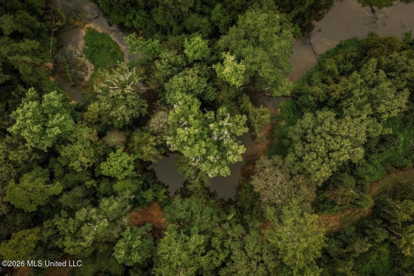 900 Acres for Sale - Hunter's Paradise South Mississippi
