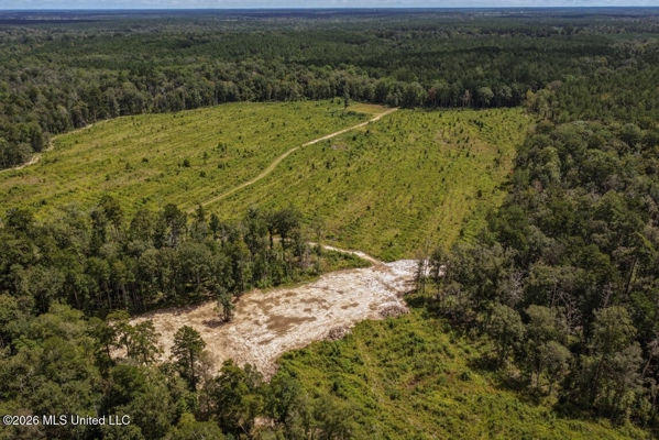 900 Acres for Sale - Hunter's Paradise South Mississippi