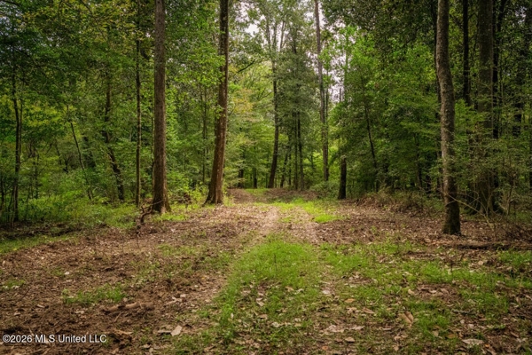 900 Acres for Sale - Hunter's Paradise South Mississippi