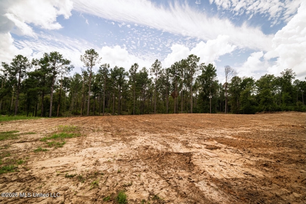 900 Acres for Sale - Hunter's Paradise South Mississippi