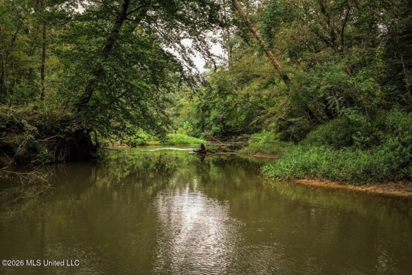 900 Acres for Sale - Hunter's Paradise South Mississippi