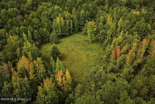 900 Acres for Sale - Hunter's Paradise South Mississippi