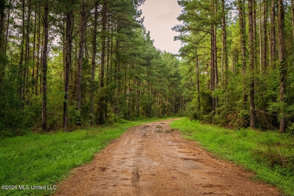 900 Acres for Sale - Hunter's Paradise South Mississippi