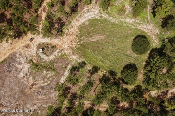 900 Acres for Sale - Hunter's Paradise South Mississippi