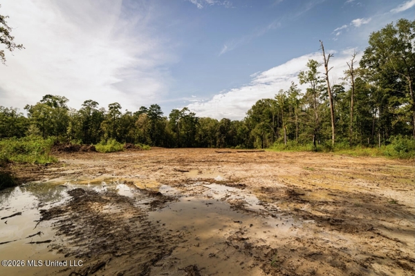 900 Acres for Sale - Hunter's Paradise South Mississippi