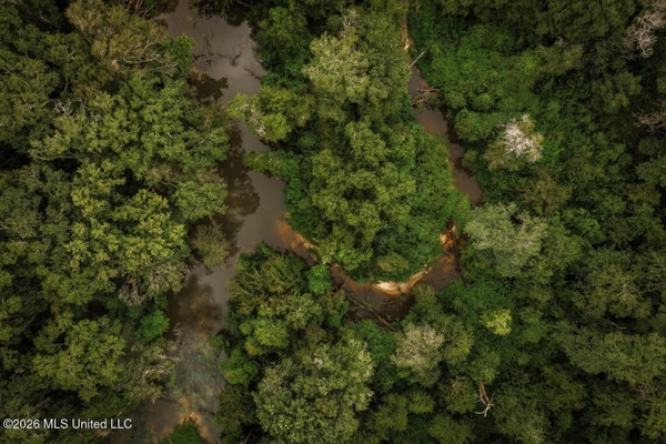 900 Acres for Sale - Hunter's Paradise South Mississippi