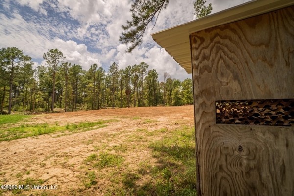 900 Acres for Sale - Hunter's Paradise South Mississippi
