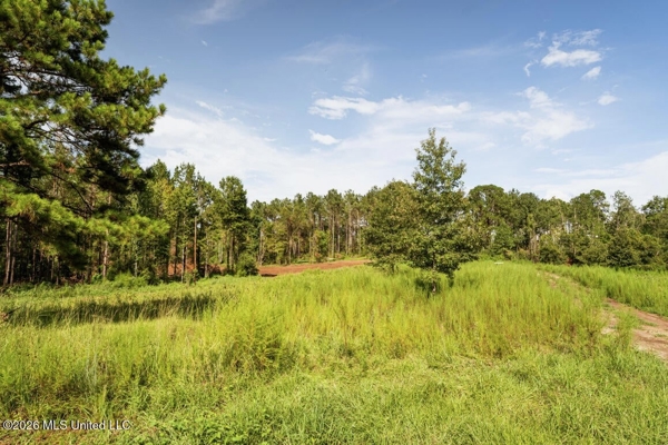 900 Acres for Sale - Hunter's Paradise South Mississippi