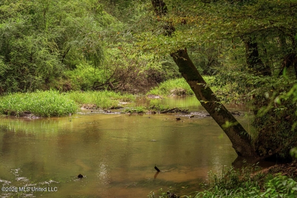 900 Acres for Sale - Hunter's Paradise South Mississippi