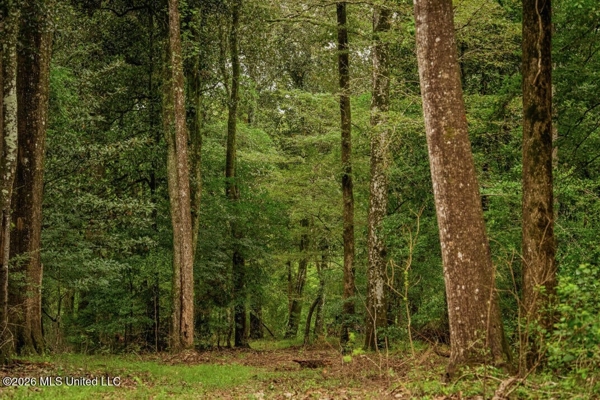 900 Acres for Sale - Hunter's Paradise South Mississippi