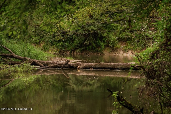 900 Acres for Sale - Hunter's Paradise South Mississippi
