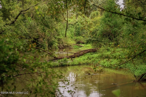 900 Acres for Sale - Hunter's Paradise South Mississippi