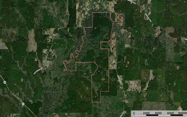 900 Acres for Sale - Hunter's Paradise South Mississippi