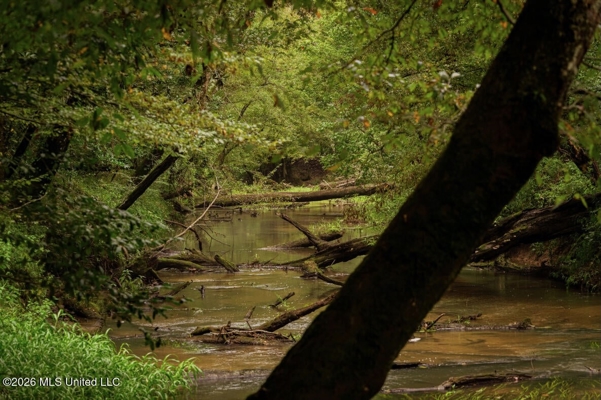 900 Acres for Sale - Hunter's Paradise South Mississippi