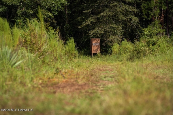 900 Acres for Sale - Hunter's Paradise South Mississippi