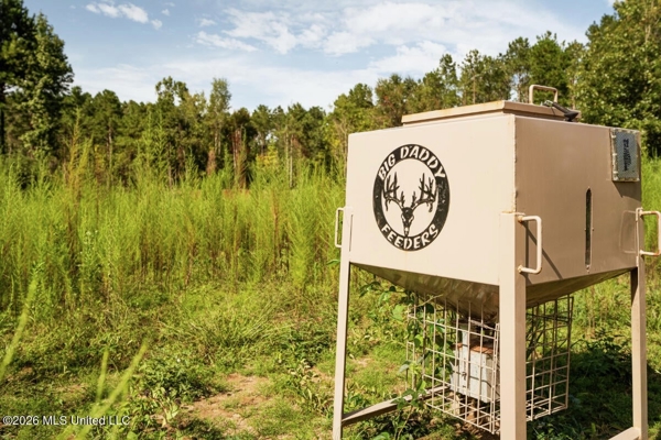 900 Acres for Sale - Hunter's Paradise South Mississippi