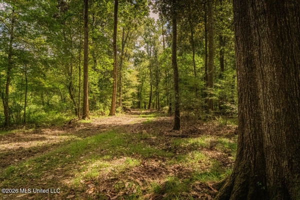 900 Acres for Sale - Hunter's Paradise South Mississippi