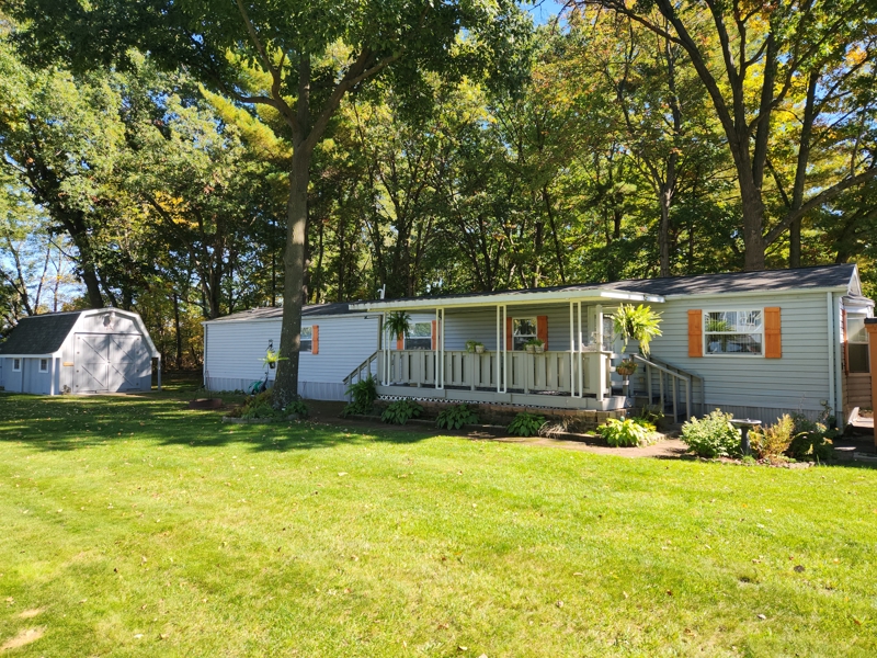No Caption