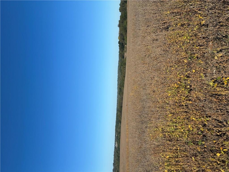 No Caption