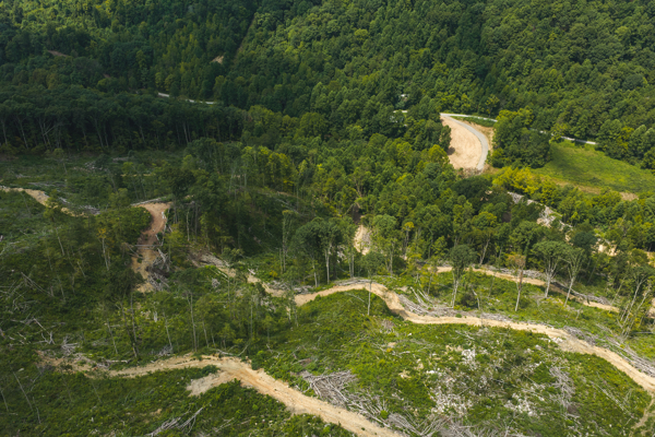 Acreage for Sale in Sneedville, TN