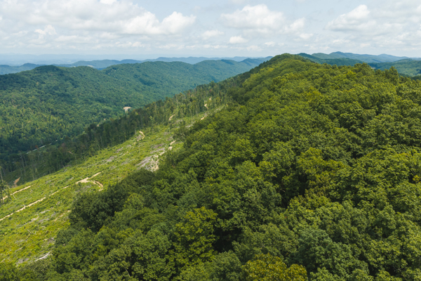 Acreage for Sale in Sneedville, TN